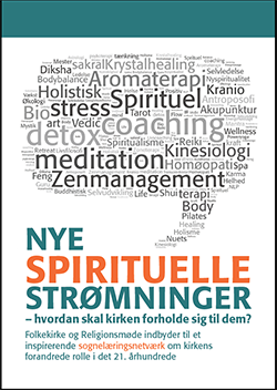 Z_rapport_NYS